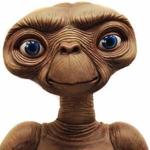 Meet your Posher, Alfredo